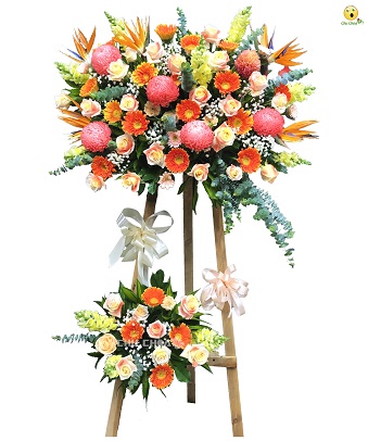 Hoa Khai Trương 2411-KM50